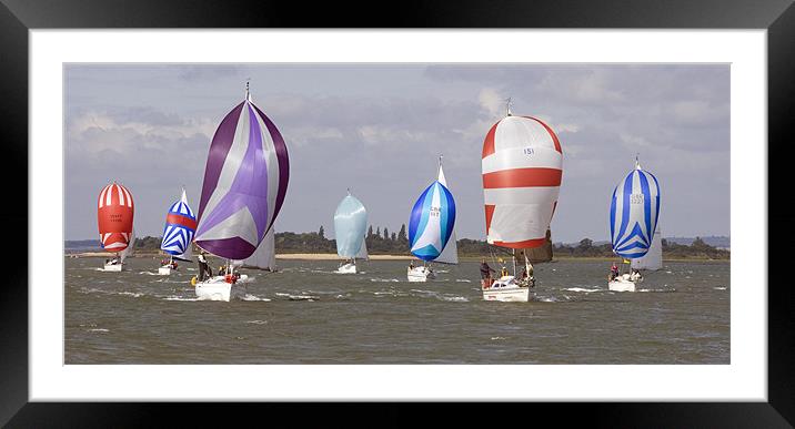 Spinnakers galore! Framed Mounted Print by Howard Corlett
