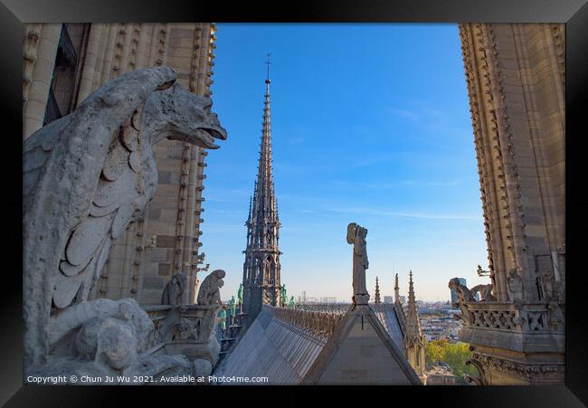 The Gargoyles at the top of Notre Dame Cathedral in Paris, France Framed Print by Chun Ju Wu