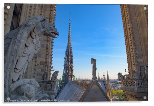 The Gargoyles at the top of Notre Dame Cathedral in Paris, France Acrylic by Chun Ju Wu