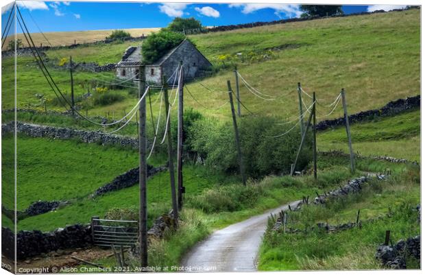 Lane to Parwich Canvas Print by Alison Chambers