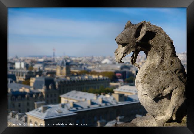 The Gargoyles of Notre Dame Cathedral overlooking Paris, France Framed Print by Chun Ju Wu