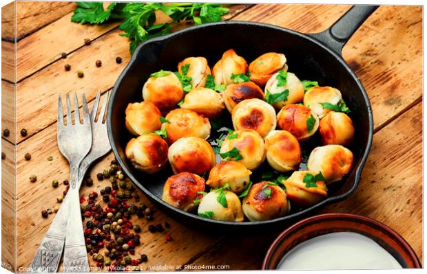Delicious fried dumplings Canvas Print by Mykola Lunov Mykola