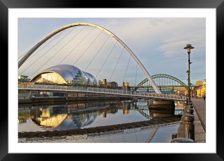 Bridges of Newcastle Framed Mounted Print by Rob Cole