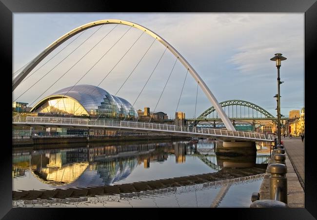 Bridges of Newcastle Framed Print by Rob Cole