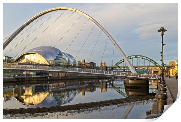 Bridges of Newcastle Print by Rob Cole