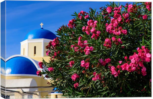 Colorful Bougainvillea flowers with white traditional buildings in Oia, Santorini, Greece Canvas Print by Chun Ju Wu