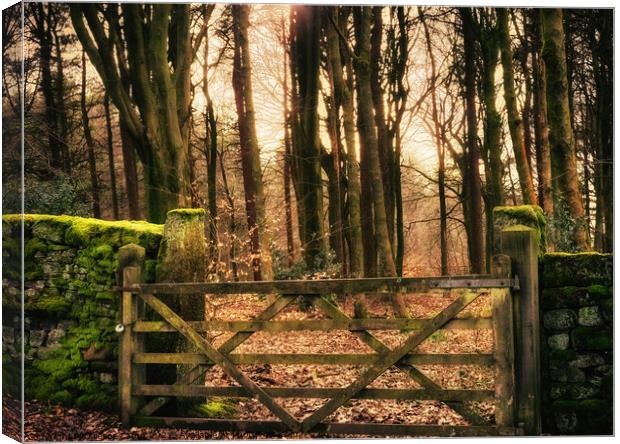 Gateway to the Woods Canvas Print by Trevor Camp