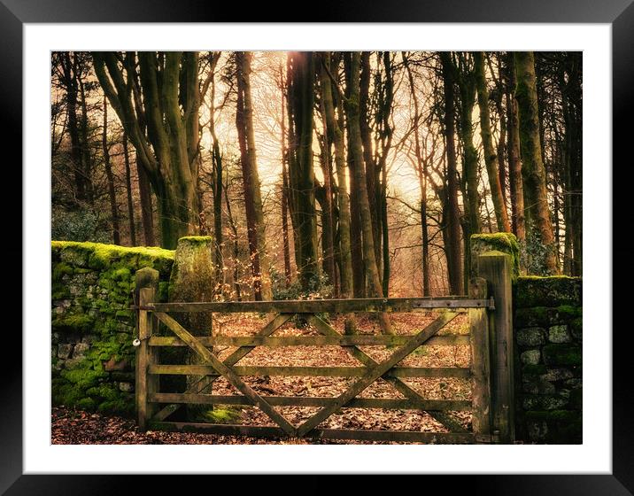 Gateway to the Woods Framed Mounted Print by Trevor Camp