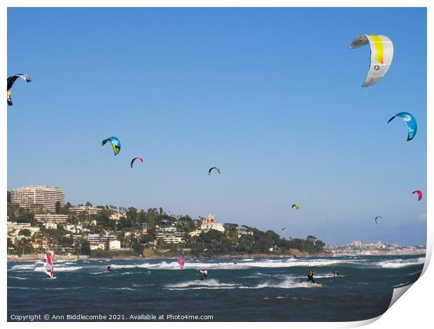 kite surfers and windsurfers on Palm beach Print by Ann Biddlecombe