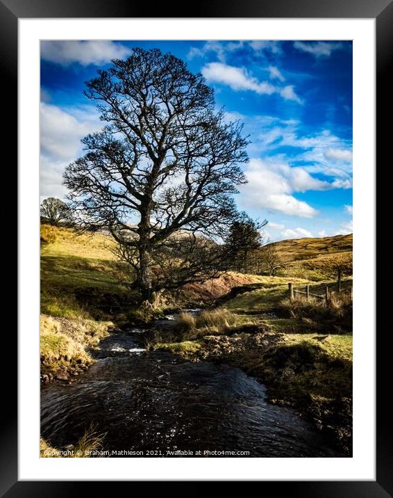 The Stream  Framed Mounted Print by Graham Mathieson