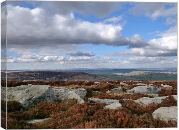 Pennine moorland view Canvas Print by Roy Hinchliffe