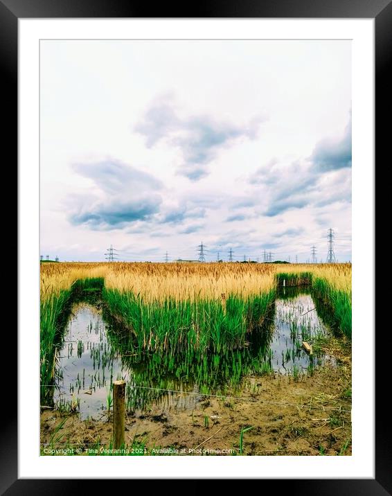 Saltholme Marshes Framed Mounted Print by Tina Veeranna