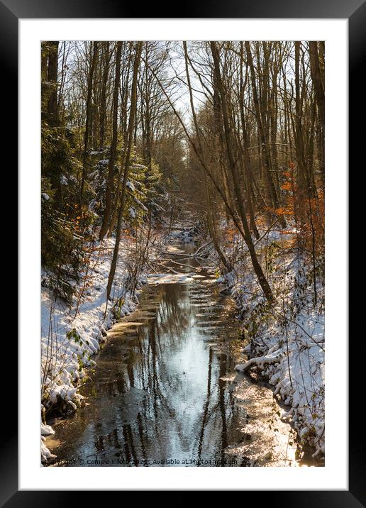 nature area waterloopbos in holland Framed Mounted Print by Chris Willemsen