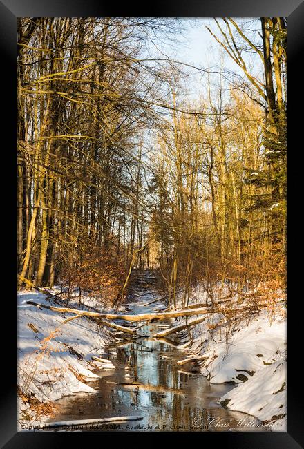 nature area waterloopbos in holland Framed Print by Chris Willemsen