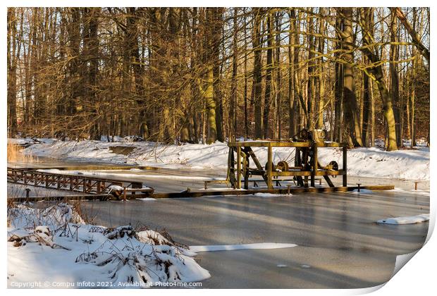 Winter with snow in the Waterloopbos Print by Chris Willemsen