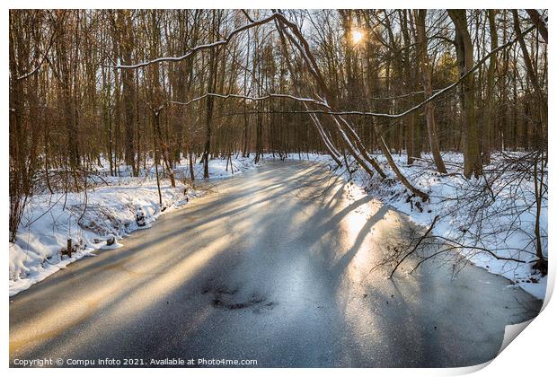 Winter with snow and ice in the Waterloopbos, Print by Chris Willemsen