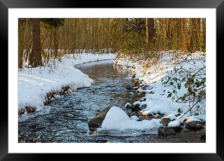 a river with  snow during a cold period in the nature area het waterloopbos in Holland Framed Mounted Print by Chris Willemsen