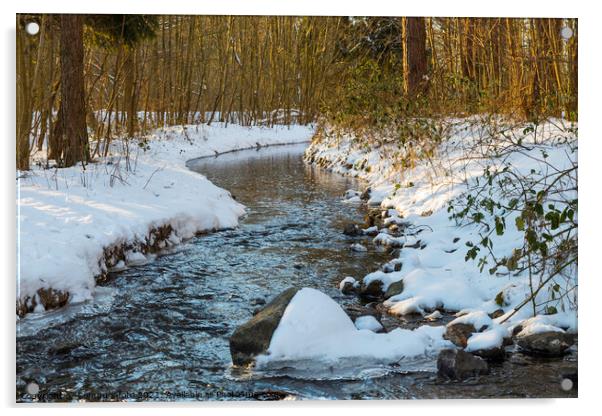a river with  snow during a cold period in the nature area het waterloopbos in Holland Acrylic by Chris Willemsen