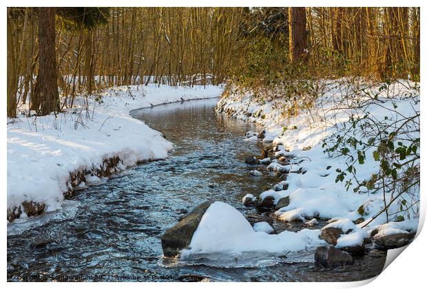 a river with  snow during a cold period in the nature area het waterloopbos in Holland Print by Chris Willemsen