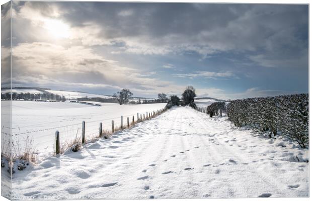 Snow Covered footpath (on disused railway) in the Scottish Borders Canvas Print by Dave Collins