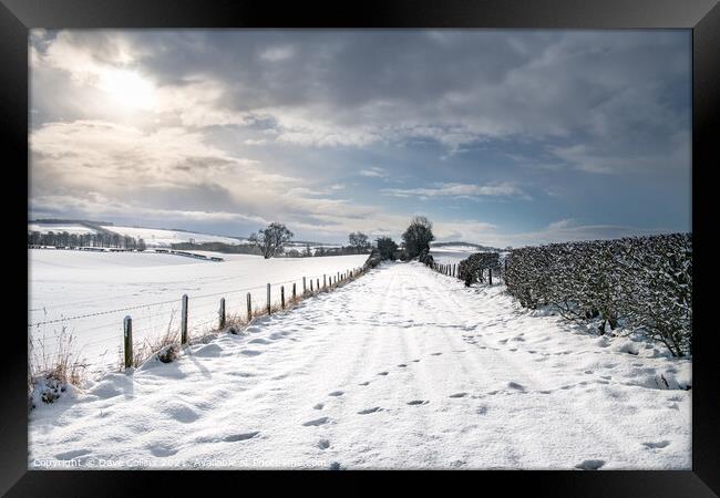 Snow Covered footpath (on disused railway) in the Scottish Borders Framed Print by Dave Collins