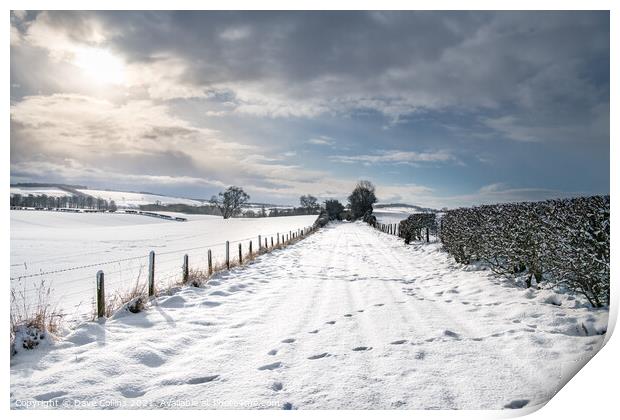Snow Covered footpath (on disused railway) in the Scottish Borders Print by Dave Collins