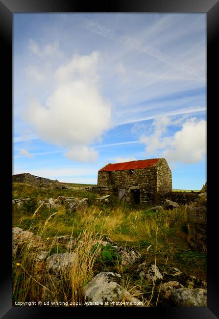 Old tin roof. Framed Print by Ed Whiting