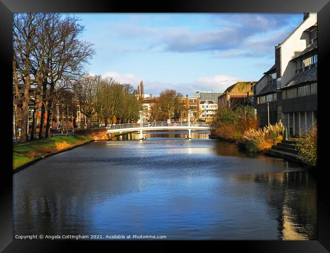 Bridge and canal in Leiden, the Netherlands Framed Print by Angela Cottingham