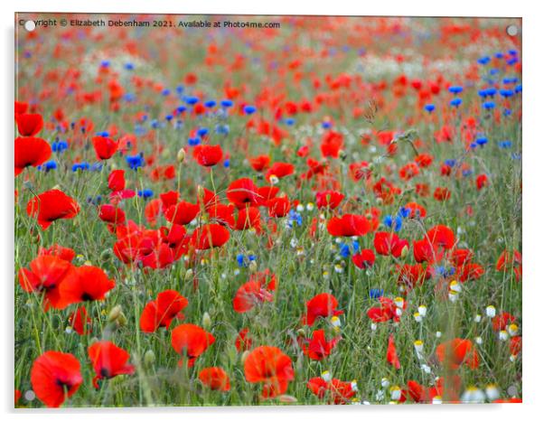 Poppy Field with Cornflowers Acrylic by Elizabeth Debenham
