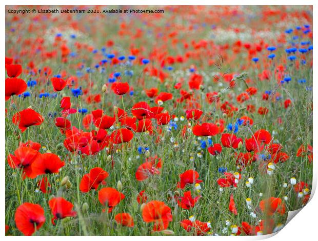 Poppy Field with Cornflowers Print by Elizabeth Debenham