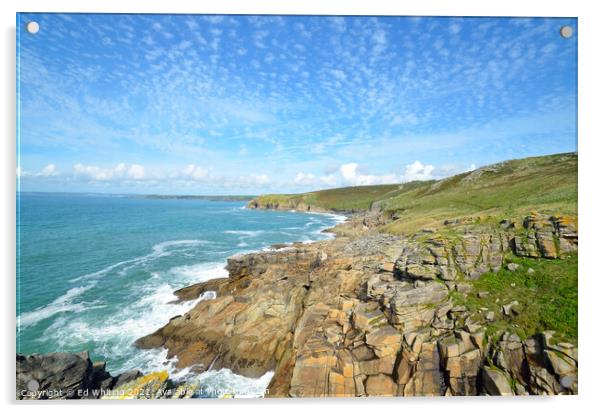 Cornish coast Acrylic by Ed Whiting