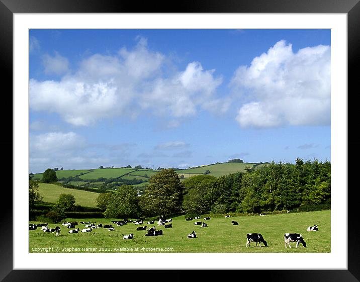 Rural Devon Framed Mounted Print by Stephen Hamer