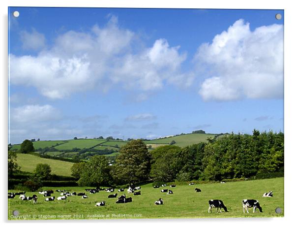 Rural Devon Acrylic by Stephen Hamer