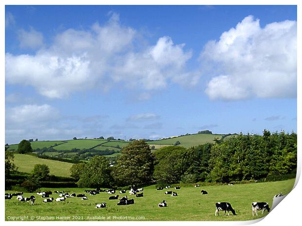 Rural Devon Print by Stephen Hamer