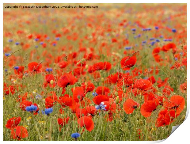 Vibrant red poppies Print by Elizabeth Debenham