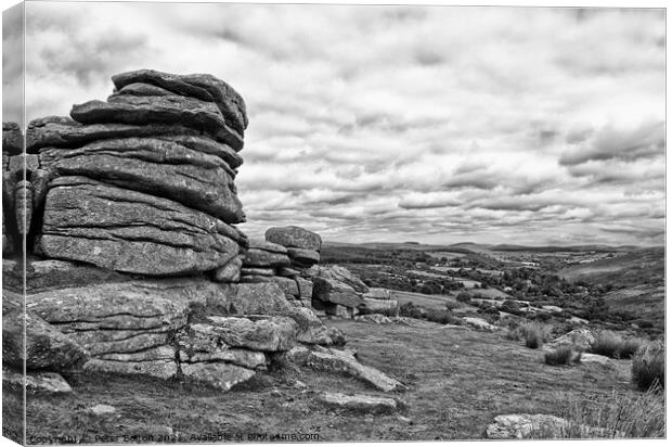 Dartmoor looking towards the south. Devon, UK. Black and white. Canvas Print by Peter Bolton