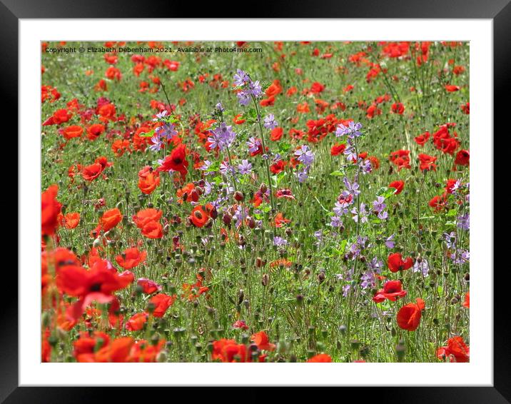 Poppies and Purple Mallow Framed Mounted Print by Elizabeth Debenham