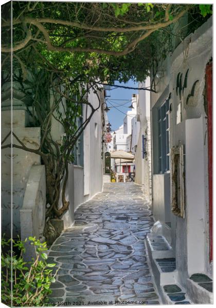 Dryopida backstreet, Kythnos Island Greece. Canvas Print by Chris North