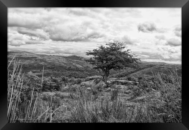 Dartmoor, Devon, in black and white. Framed Print by Peter Bolton