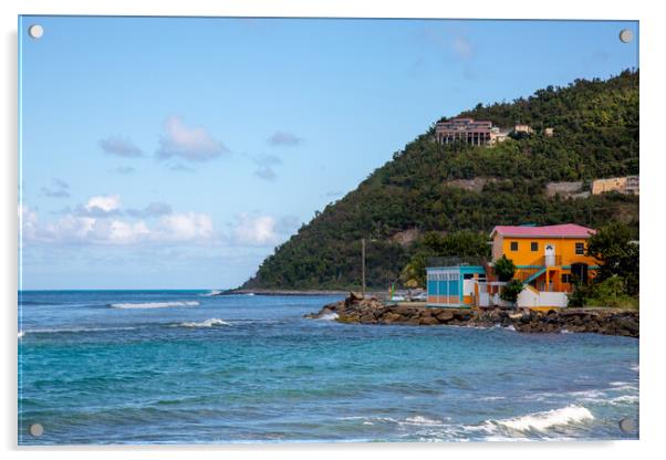 Beautiful Bay on Tortola Acrylic by Roger Green
