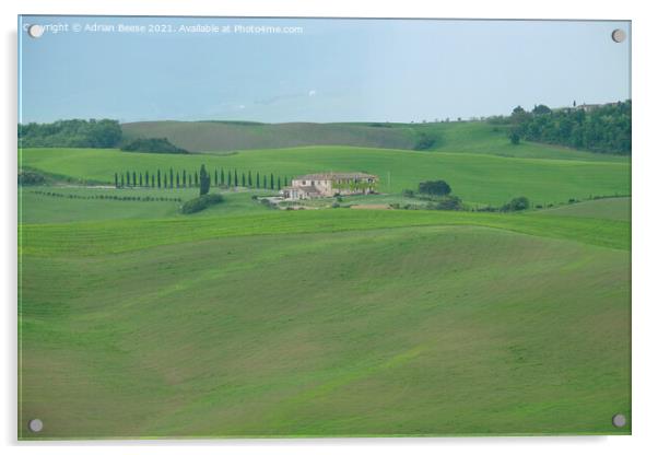 Tuscan hill farm Acrylic by Adrian Beese