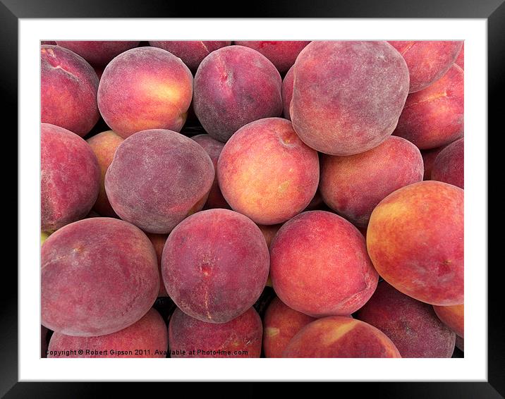 Peaches anyone? Framed Mounted Print by Robert Gipson