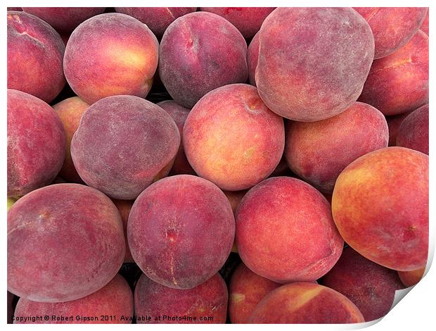 Peaches anyone? Print by Robert Gipson