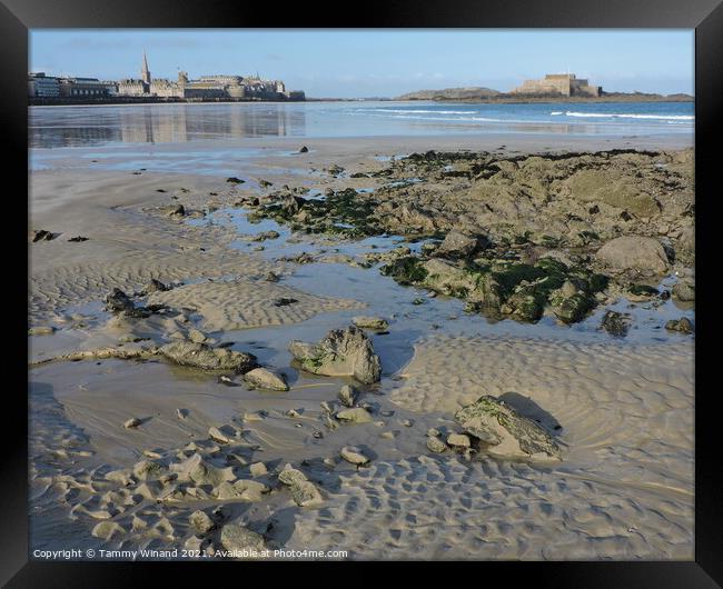 Low Tide on the Coast of St Malo France Framed Print by Tammy Winand