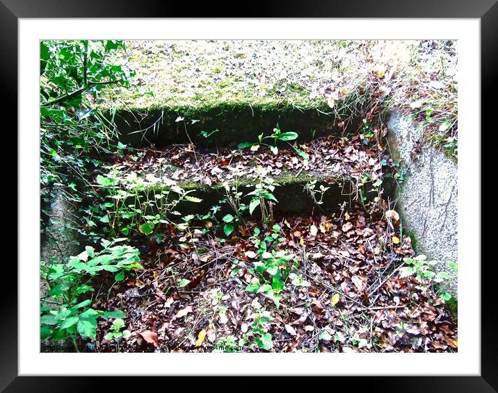 Overgrown steps Framed Mounted Print by Stephanie Moore