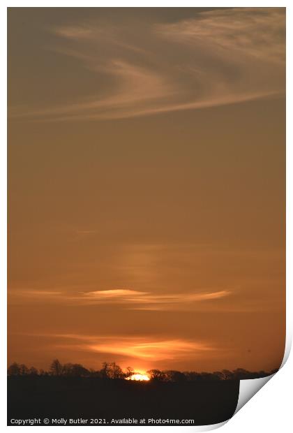 Wispy sunrise clouds Print by Molly Butler