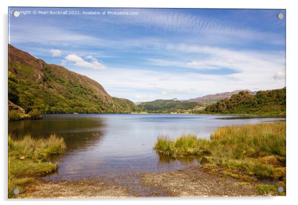 Llyn Dinas Lake in Snowdonia Wales Acrylic by Pearl Bucknall