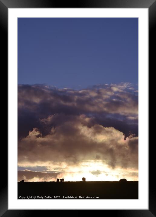 Sunset clouds Framed Mounted Print by Molly Butler