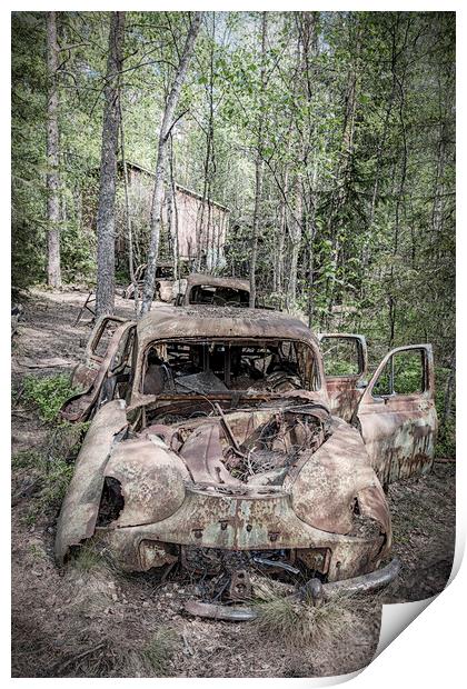 Kirkoe Mosse Bilkyrkogard Rusting Cars Print by Antony McAulay