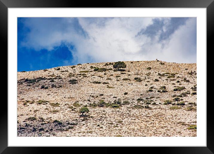 Barren Hillside on the Lasithi Plateau Framed Mounted Print by Kasia Design